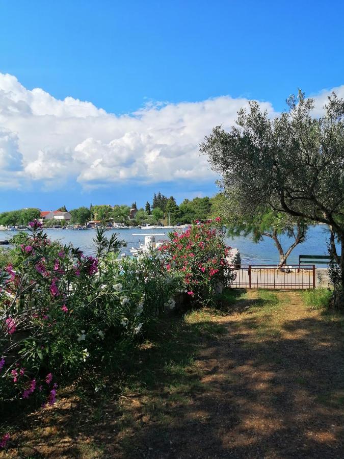 Raslina Sun Apartment Dış mekan fotoğraf
