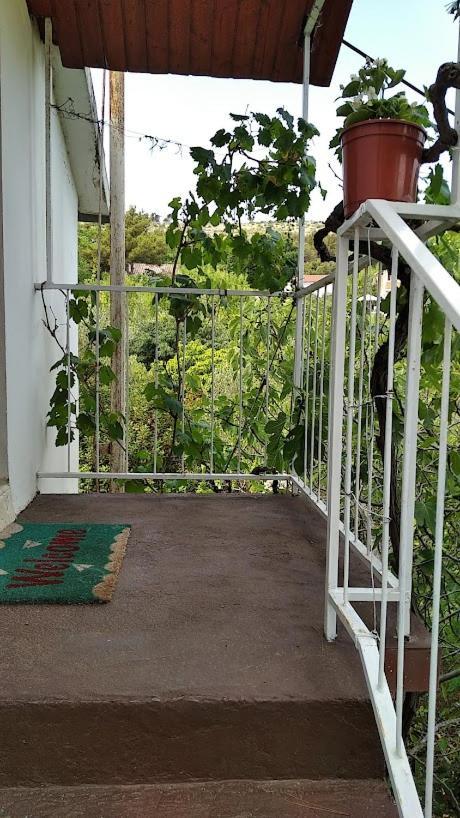 Raslina Sun Apartment Dış mekan fotoğraf