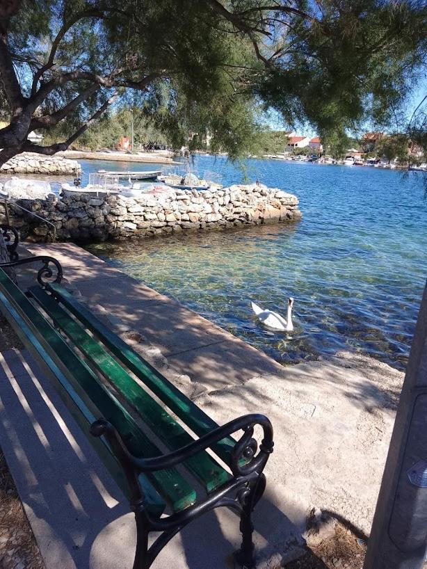 Raslina Sun Apartment Dış mekan fotoğraf