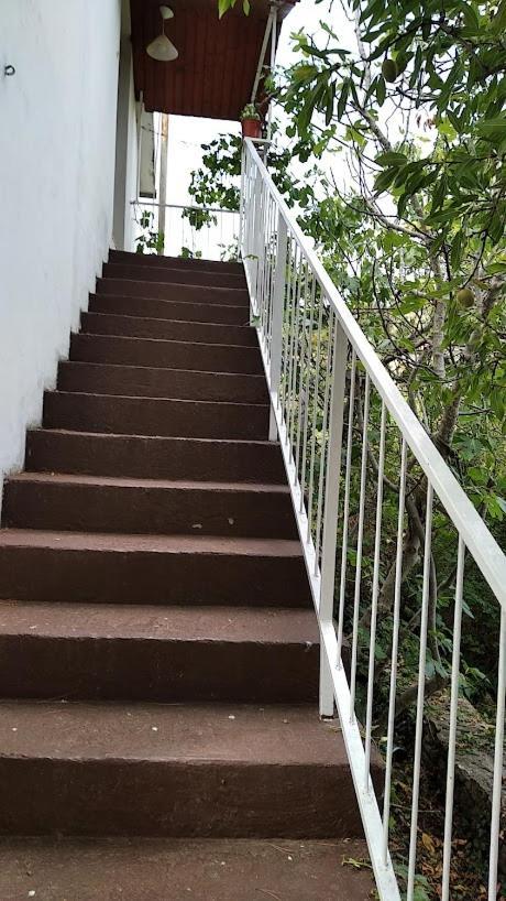 Raslina Sun Apartment Dış mekan fotoğraf