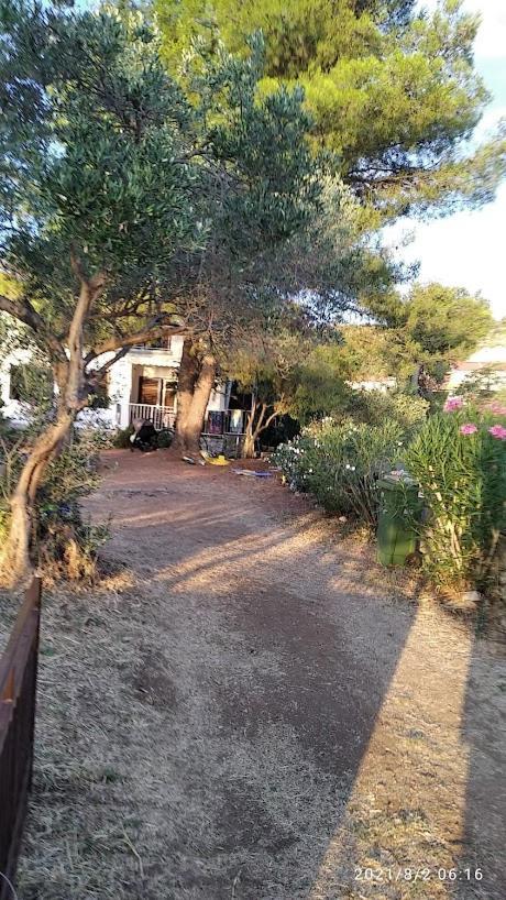 Raslina Sun Apartment Dış mekan fotoğraf