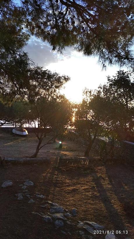 Raslina Sun Apartment Dış mekan fotoğraf