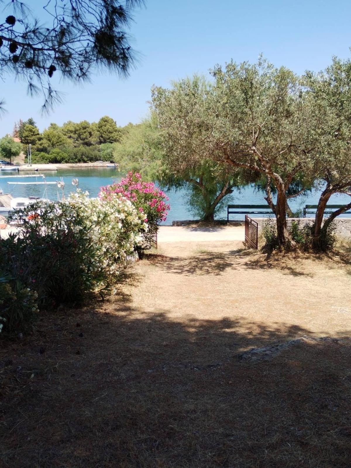 Raslina Sun Apartment Dış mekan fotoğraf